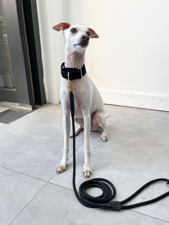 Signature Rope Leash | Jet Black (Leather & Brass Hardware)