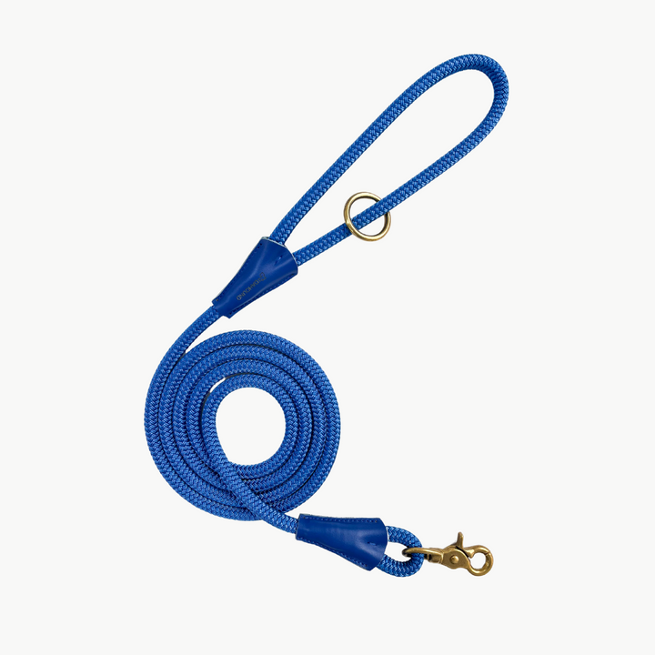 Signature Rope Leash | Blue (Leather & Brass Hardware)