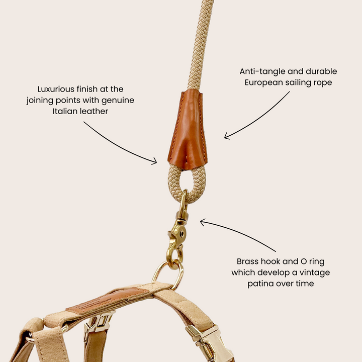 Signature Rope Leash | Beige (Leather & Brass Hardware)