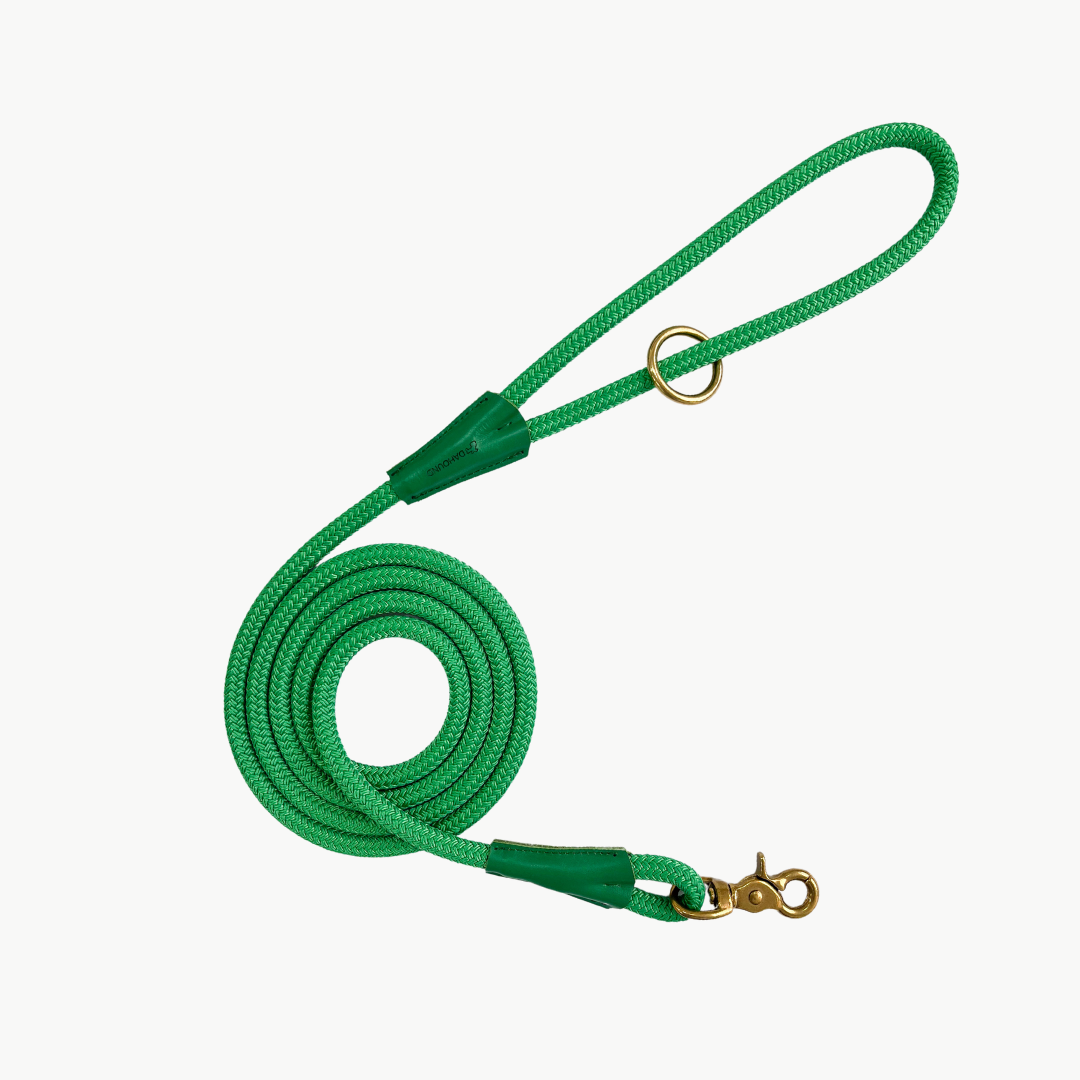 Signature Rope Leash | Green (Leather & Brass Hardware)