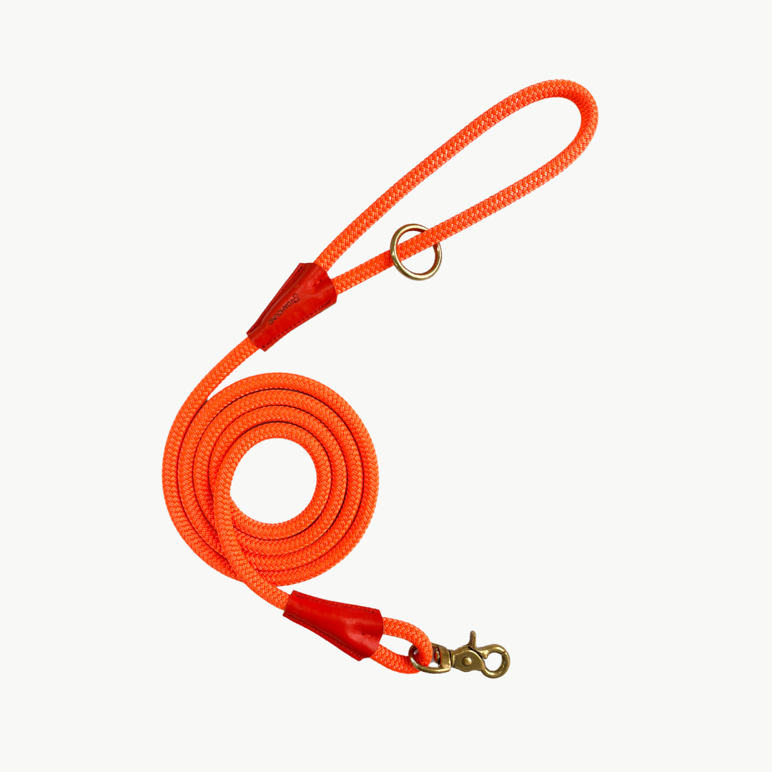 Signature Rope Leash | Orange (Leather & Brass Hardware)