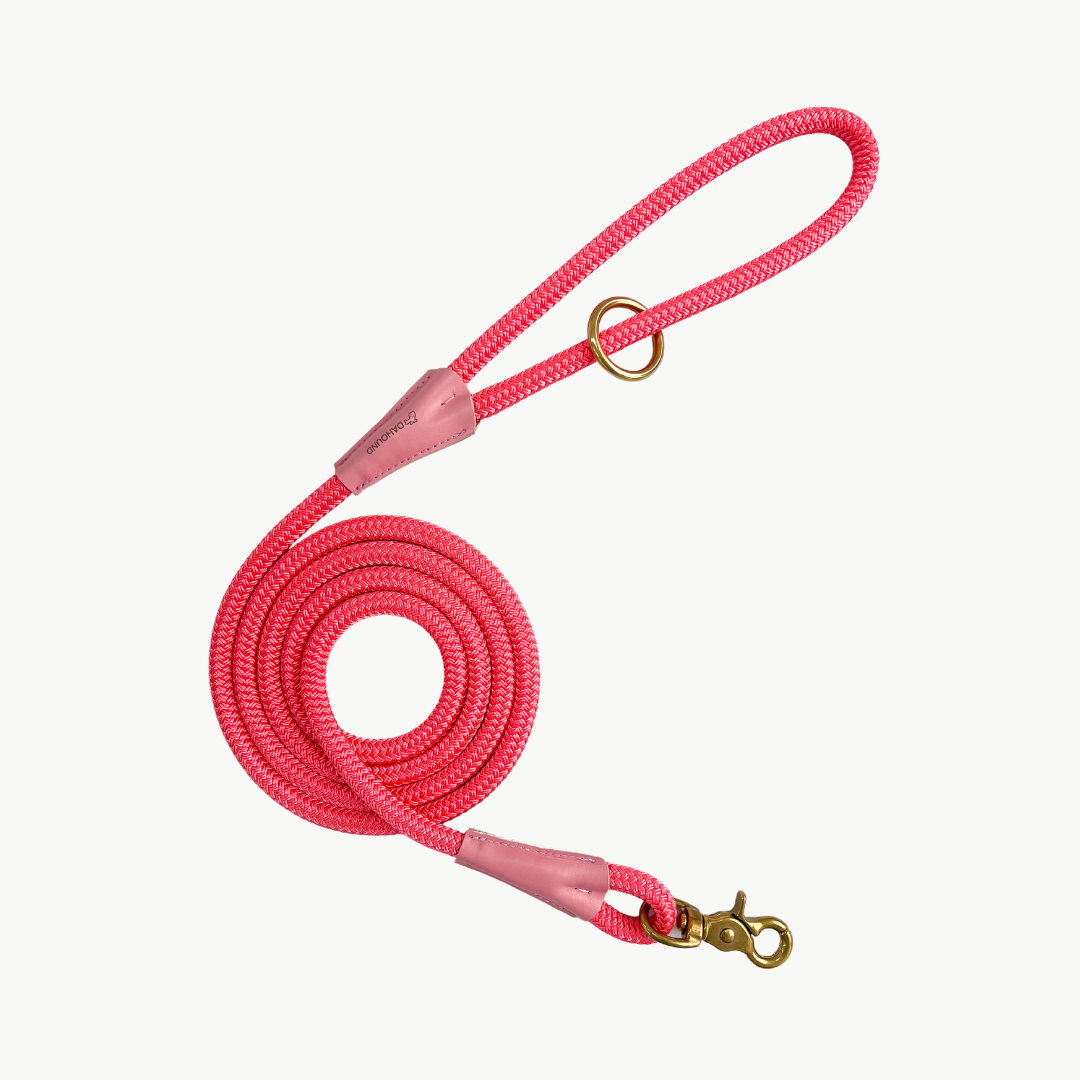 Signature Rope Leash | Rosa Pink (Leather & Brass Hardware)