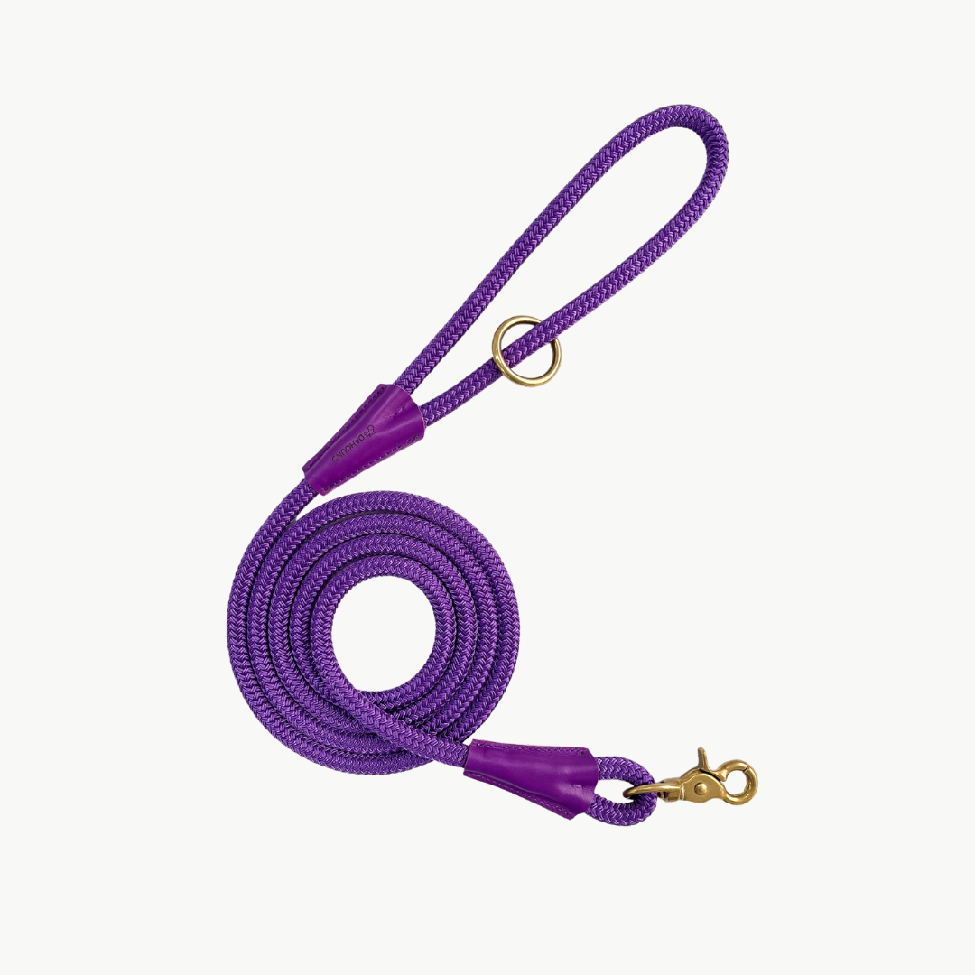 Signature Rope Leash | Purple (Leather & Brass Hardware)