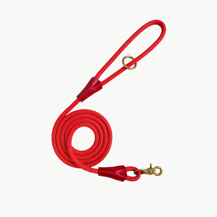 Signature Rope Leash | Red (Leather & Brass Hardware)