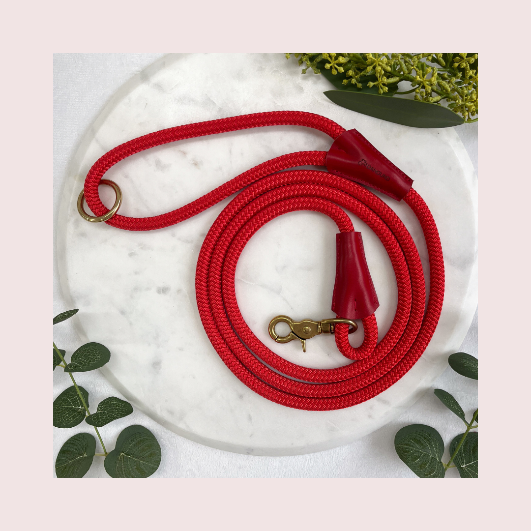 Signature Rope Leash | Red (Leather & Brass Hardware)