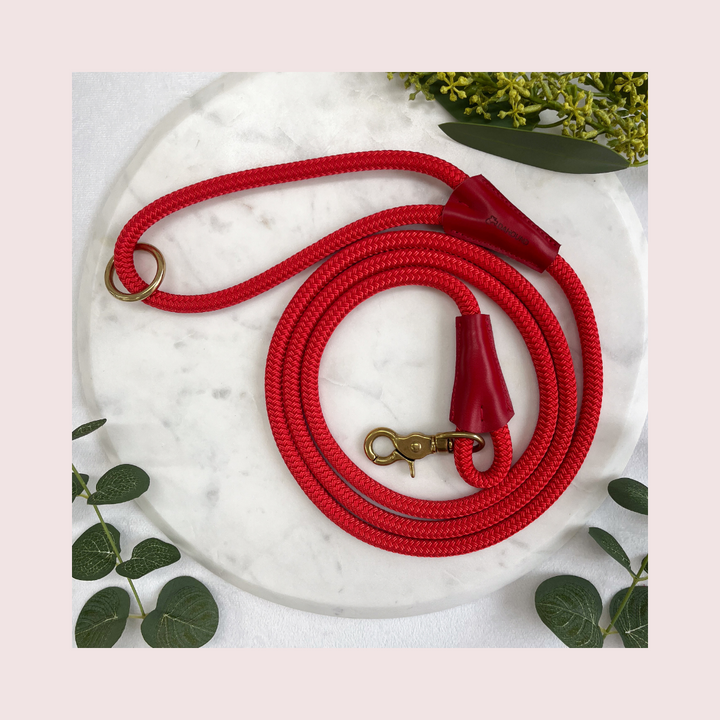 Signature Rope Leash | Red (Leather & Brass Hardware)