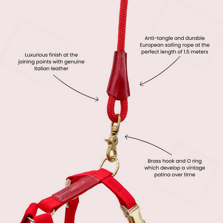 Signature Rope Leash | Red (Leather & Brass Hardware)
