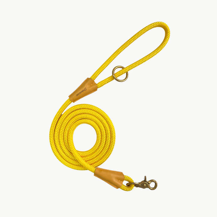 Signature Rope Leash | Candy Yellow (Leather & Brass Hardware)