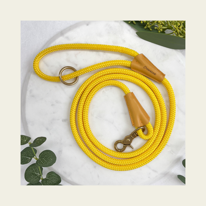 Signature Rope Leash | Candy Yellow (Leather & Brass Hardware)
