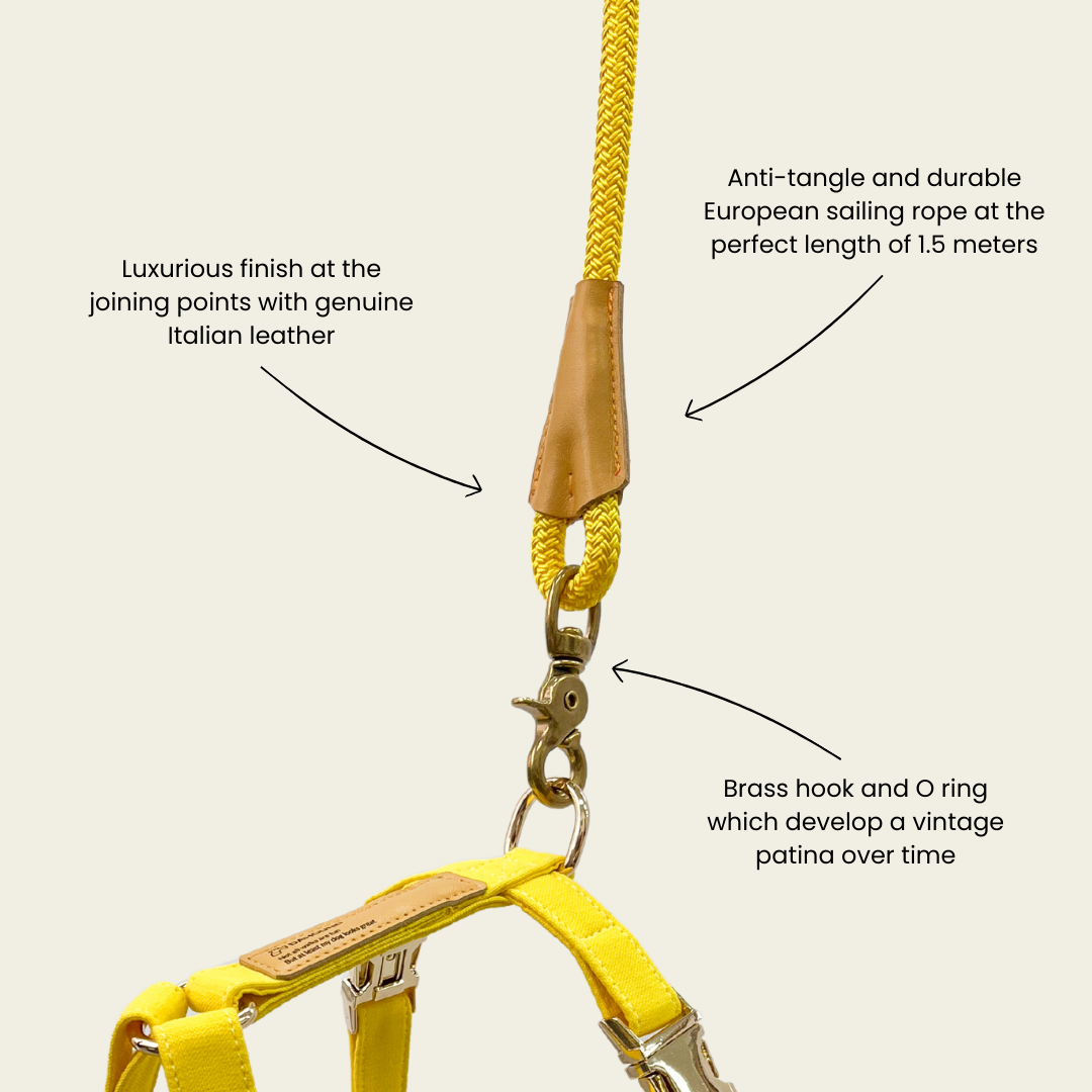 Signature Rope Leash | Candy Yellow (Leather & Brass Hardware)