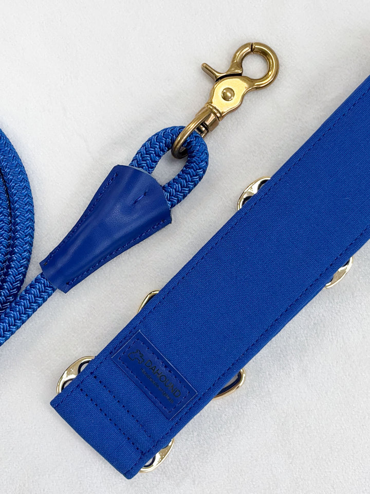 Dazzling Blue Martingale Collar & Leash Bundle Back