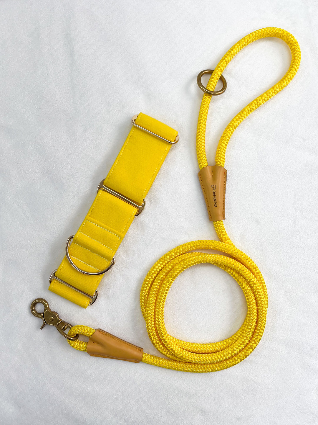 Candy Yellow Martingale Collar With Matching Leash