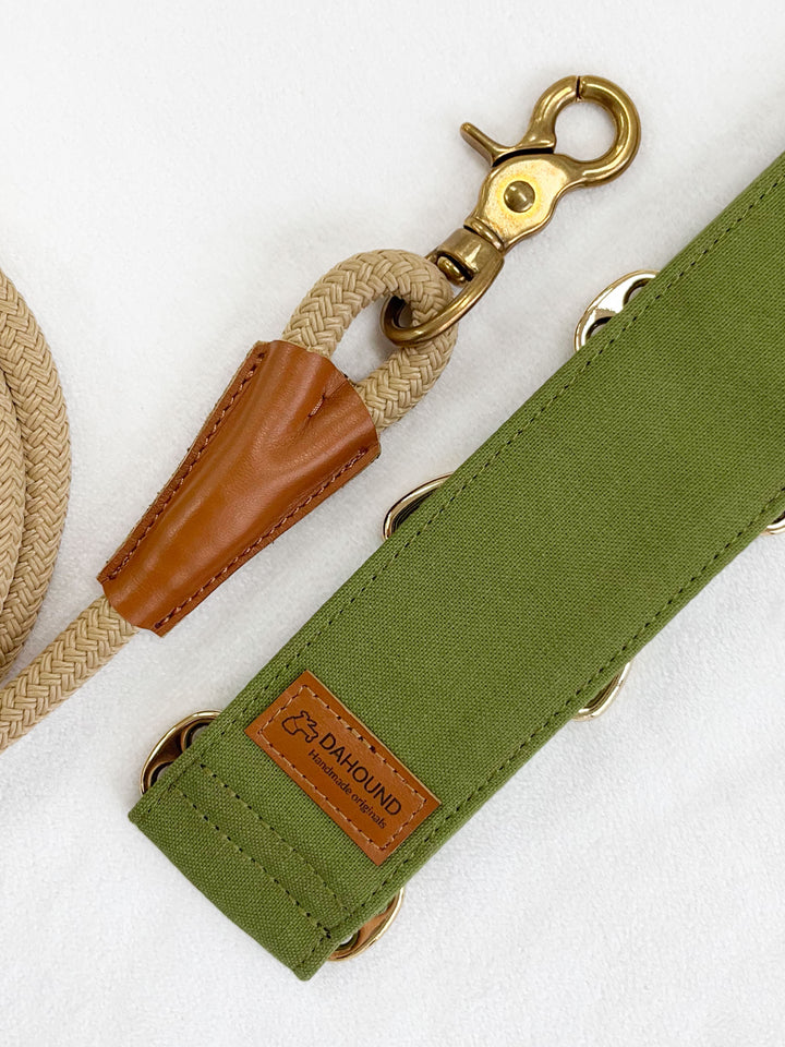 Olive Green Martingale Collar With Matching Leash