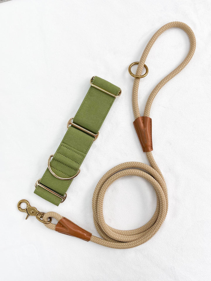 Olive Green Martingale Collar With Matching Leash