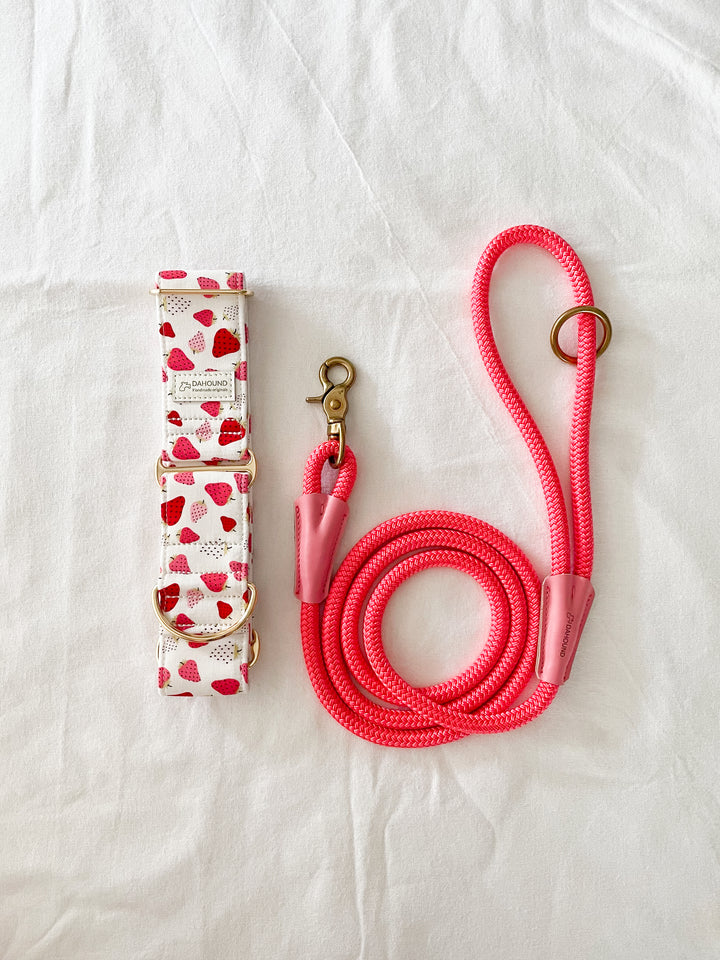 Dahound Strawberry and Cream Gelato Greyhound Collars Product Photo With Rosa Pink Rope Leash