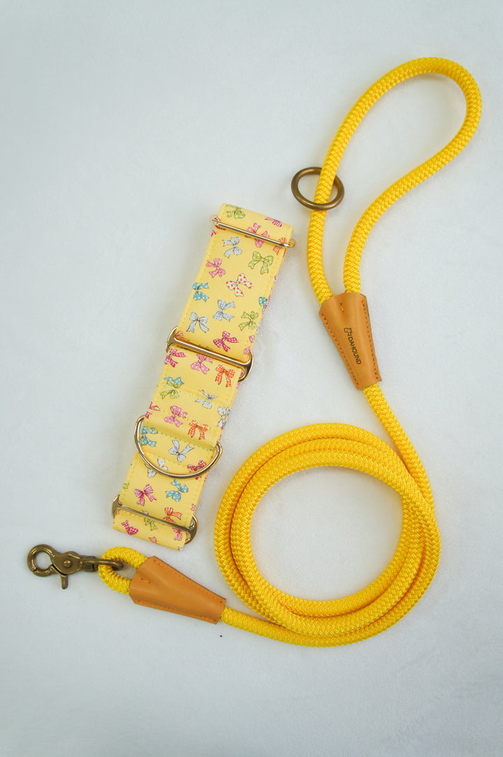Martingale Collar & Rope Lead Set | Yellow Mini Bows