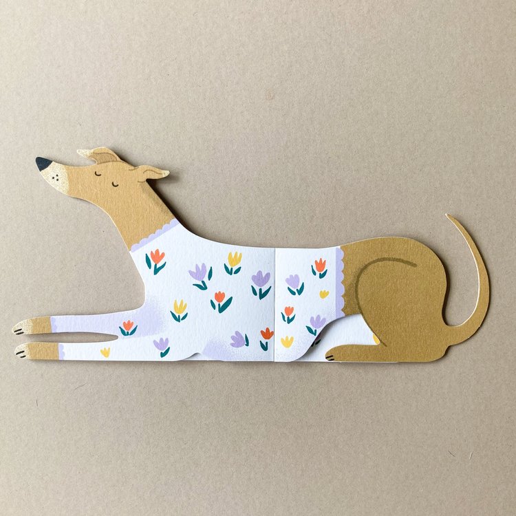 Fawn Greyhound, Whippet, Italian, Greyhound, Sighthound Shaped Extendable Greeting Card