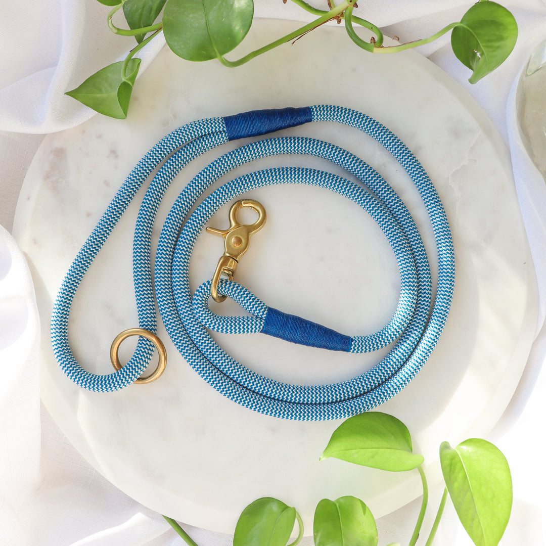 French Blue Premium Rope Dog Leash_1