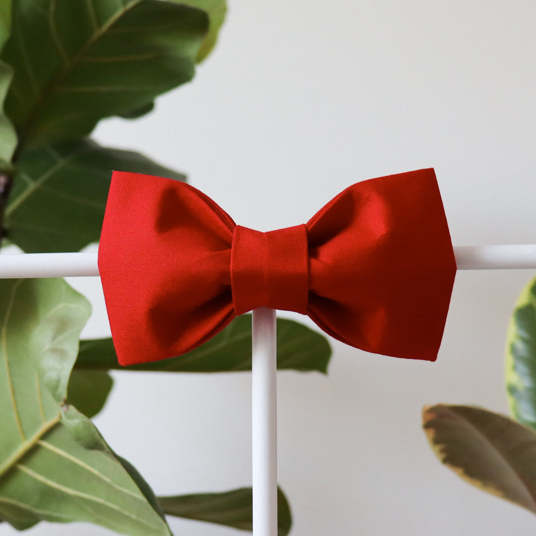 Oversized Dog Bow for Martingale Collars | Tomato Red