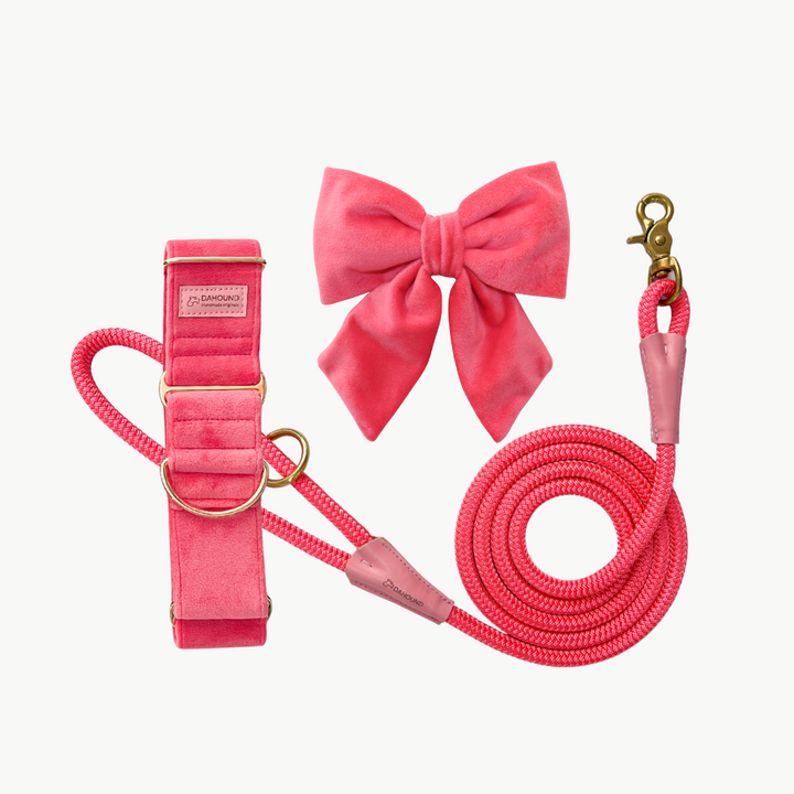 Martingale Collar + Sailor Bow + Rope Lead Set | Coral Pink (Plush Velvet)