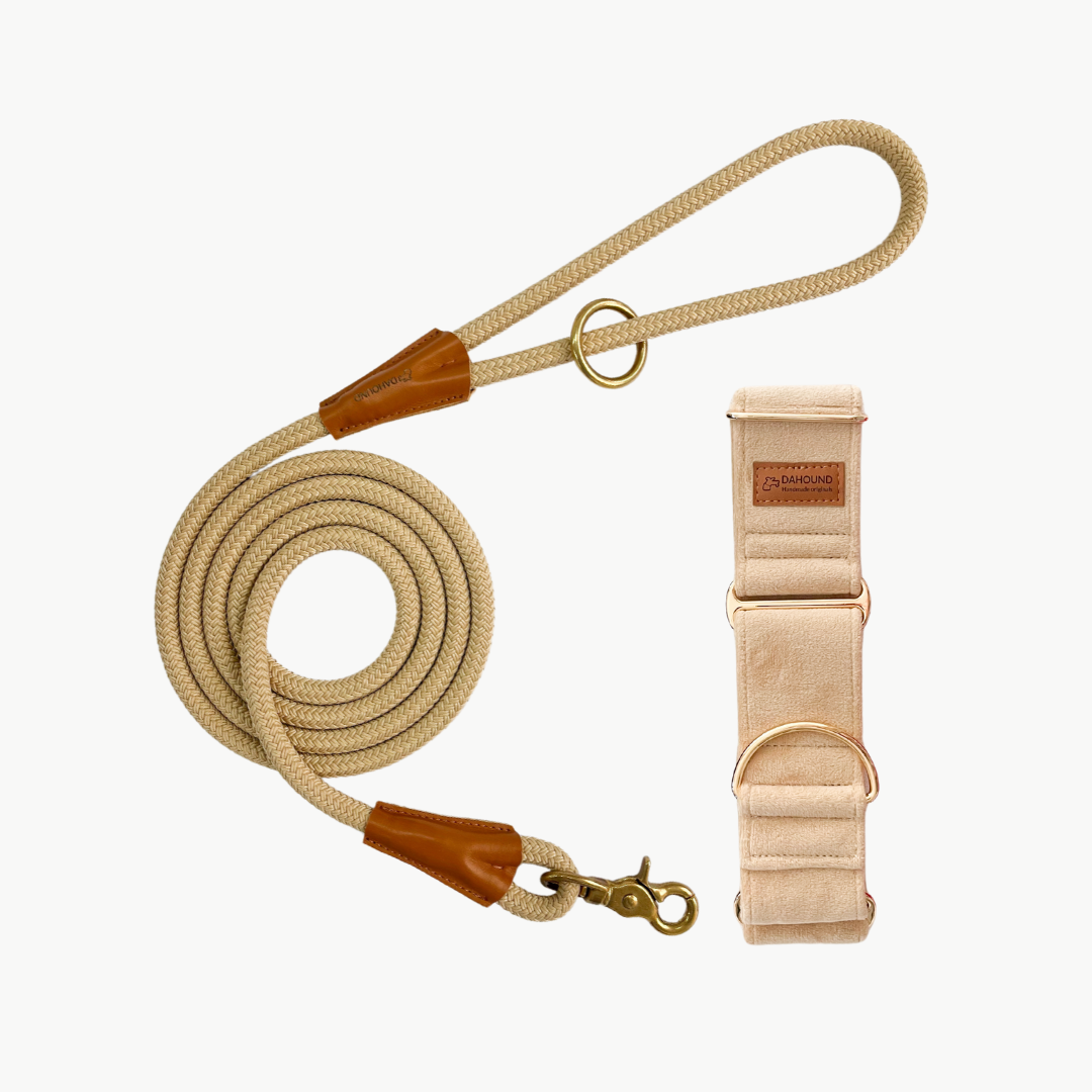 Martingale Collar & Rope Lead Set | Cream (Plush Velvet)