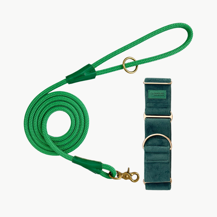 Martingale Collar & Rope Lead Set | Dark Forest Green (Plush Velvet)