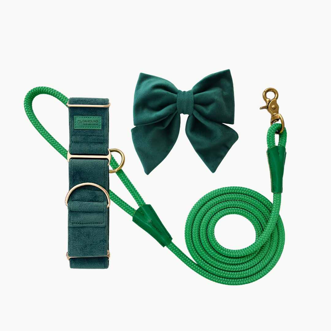 Martingale Collar + Sailor Bow + Rope Lead Set | Dark Forest Green (Plush Velvet)