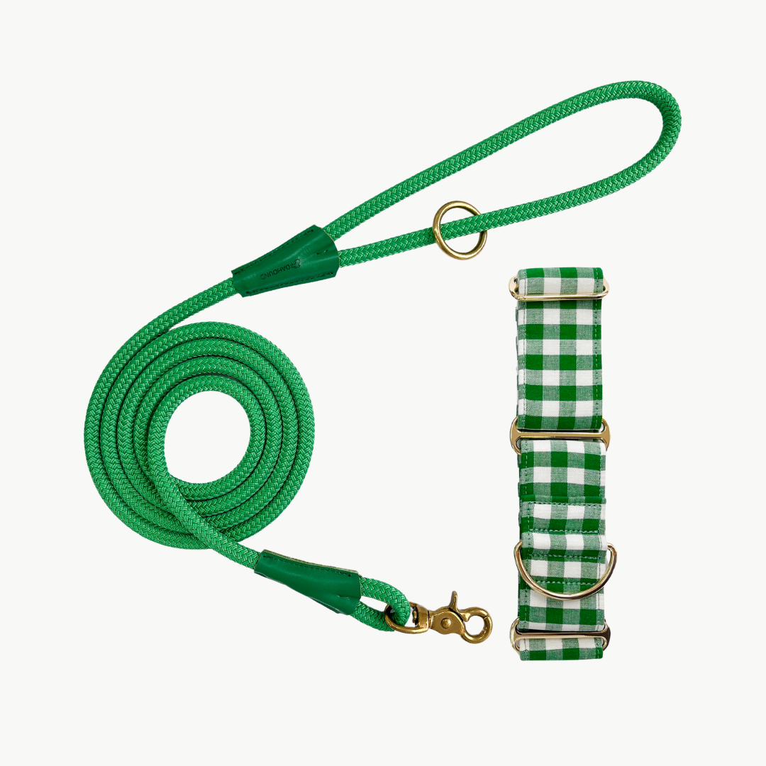 Martingale Collar & Rope Lead Set | Green Gingham