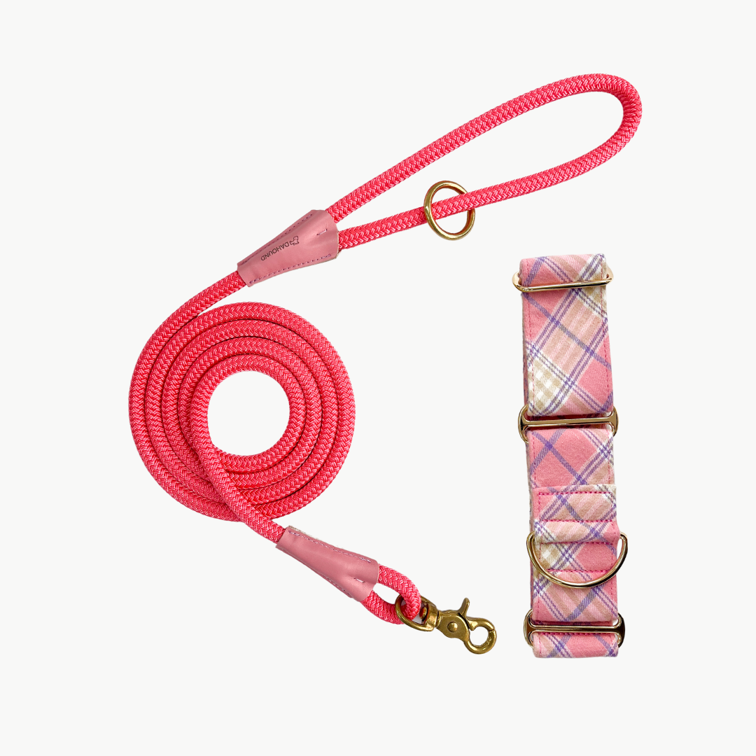 Martingale Collar & Rope Lead Set | Pastel Pink Flannel Plaid