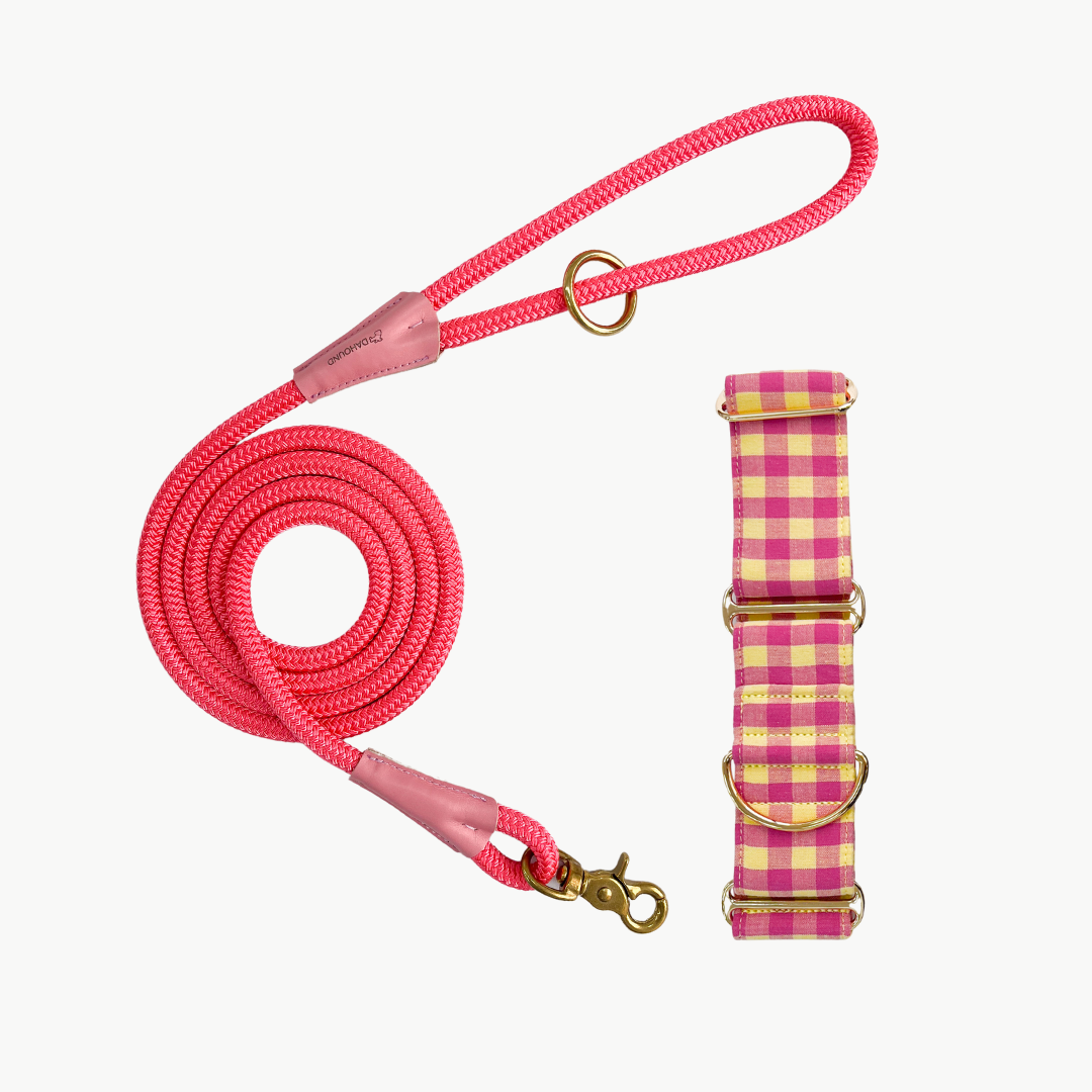 Martingale Collar & Rope Lead Set | Pink & Yellow Gingham Plaid (with pink leash)