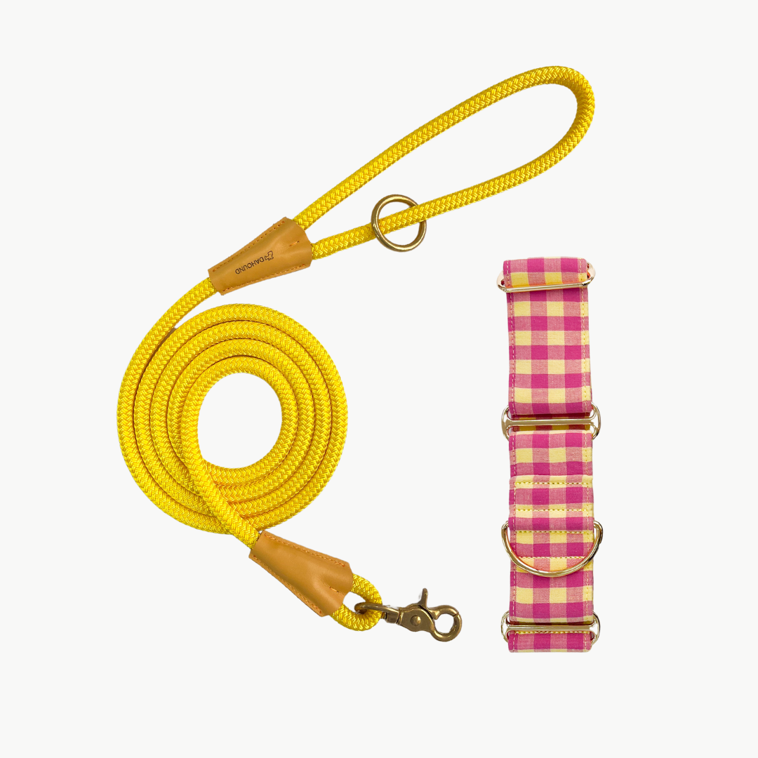 Martingale Collar & Rope Lead Set | Pink & Yellow Gingham Plaid (with yellow leash)