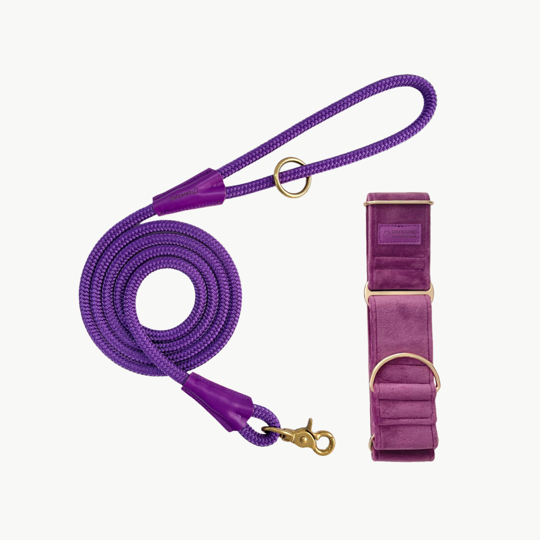 Martingale Collar & Rope Lead Set | Purple (Plush Velvet)
