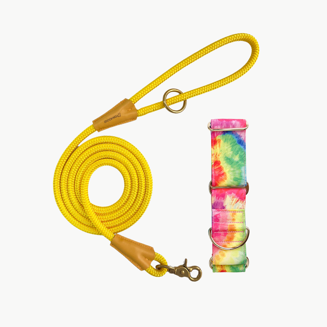 Martingale Collar & Rope Lead Set | Rainbow Paddle Pop (with yellow leash)