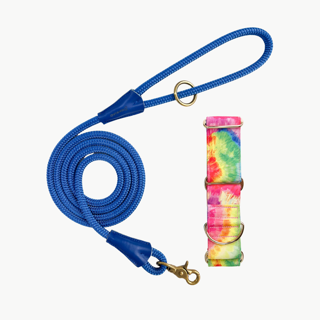 Martingale Collar & Rope Lead Set | Rainbow Paddle Pop (with blue leash)