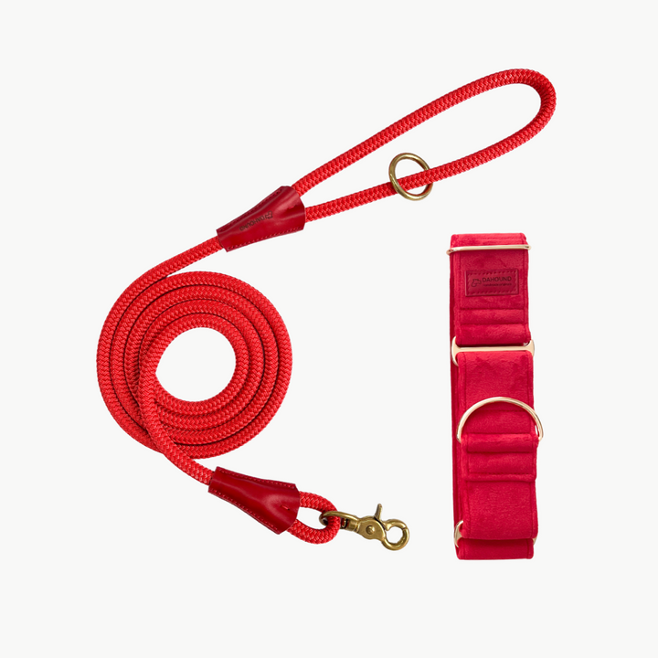 Martingale Collar & Rope Lead Set | Scarlet Red (Plush Velvet)