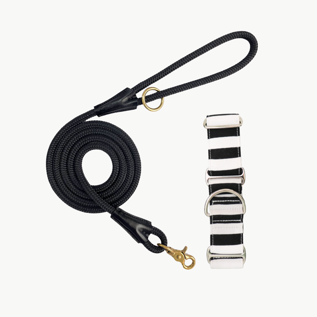 Martingale Collar & Rope Lead Set | Black & White Stripes