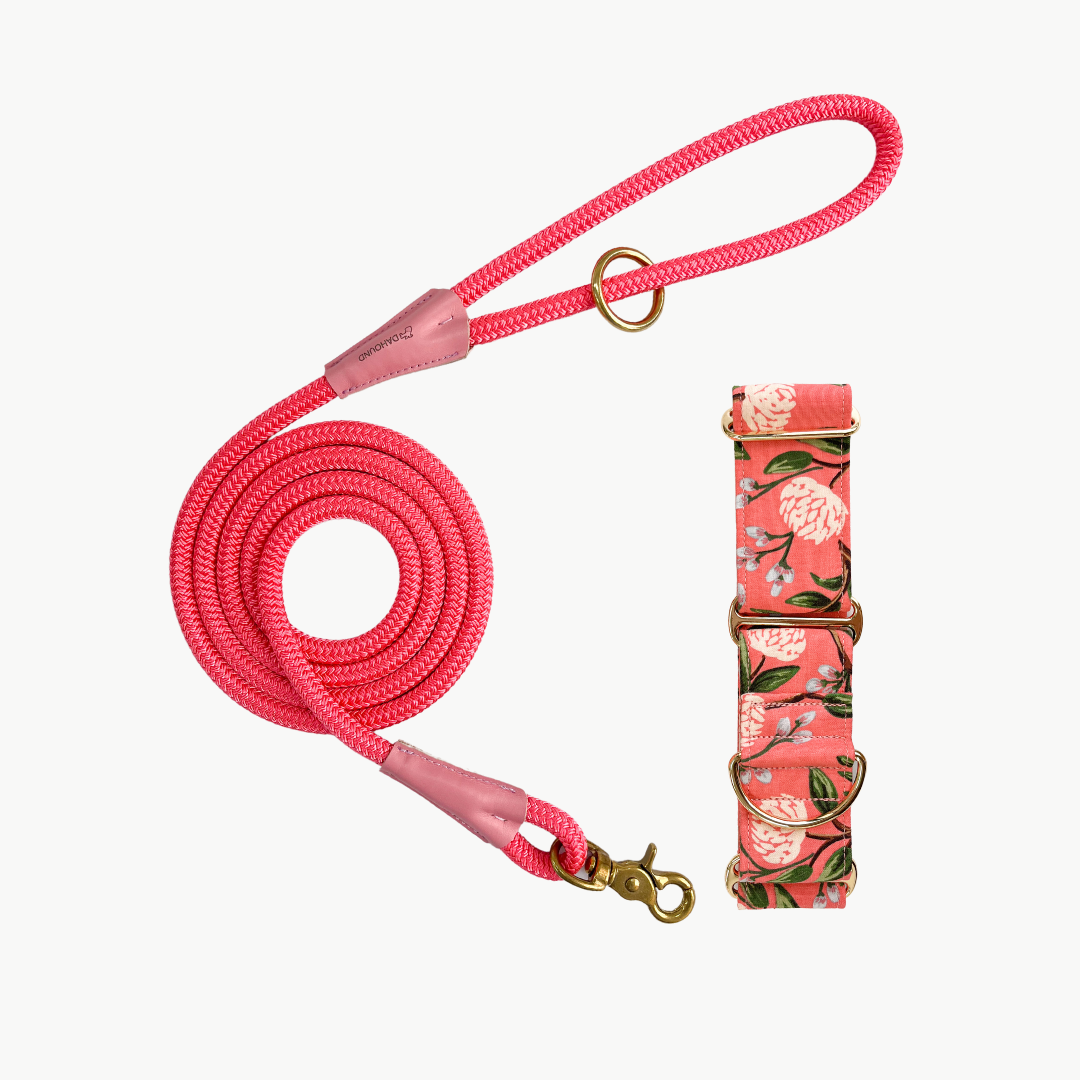 Martingale Collar & Rope Lead Set | Coral Peonies (with pink leash)