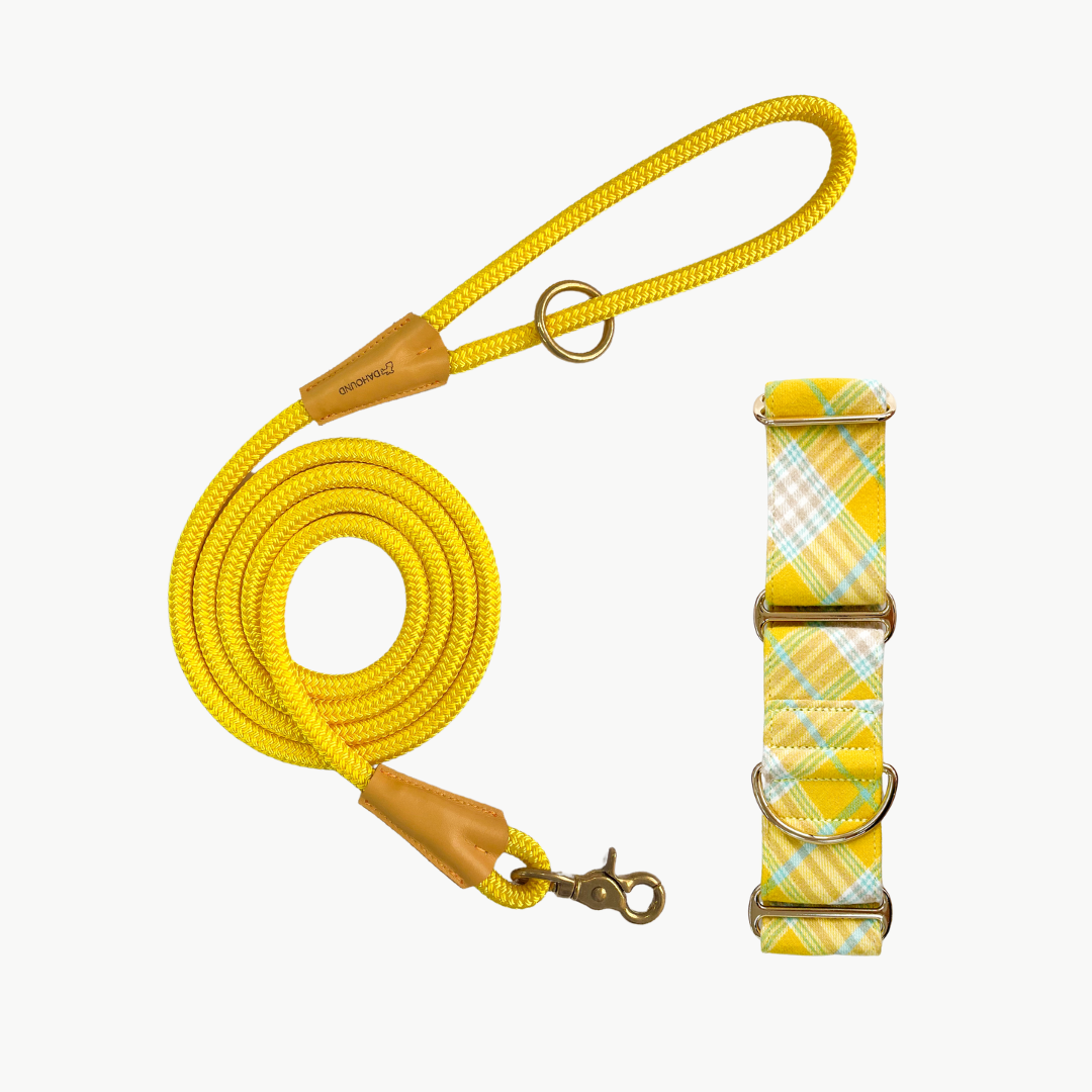 Martingale Collar & Rope Lead Set | Lemon Yellow Flannel Plaid