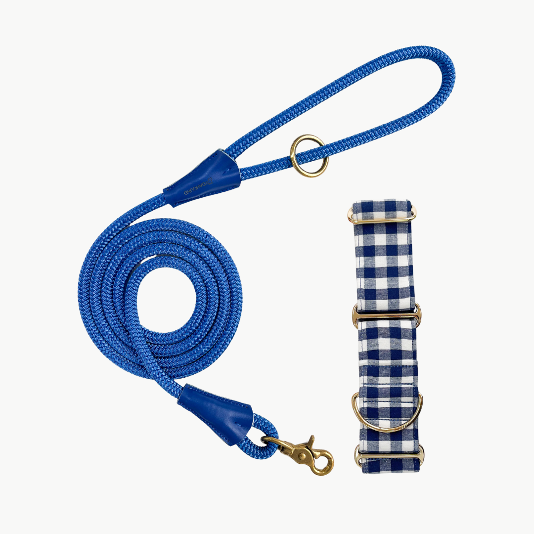 Martingale Collar & Rope Lead Set | Navy Blue Gingham (with blue leash)
