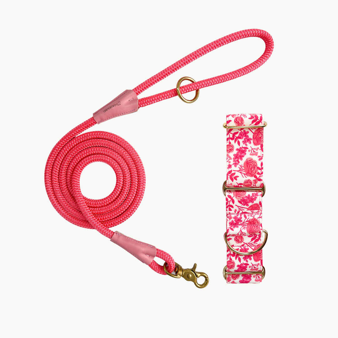 Martingale Collar & Rope Lead Set | Rose Garden