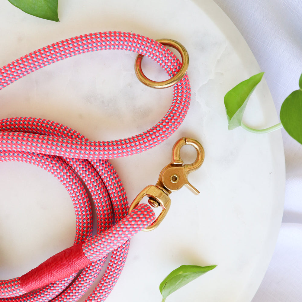 Pink Premium Rope Dog Lead With Brass Hardware