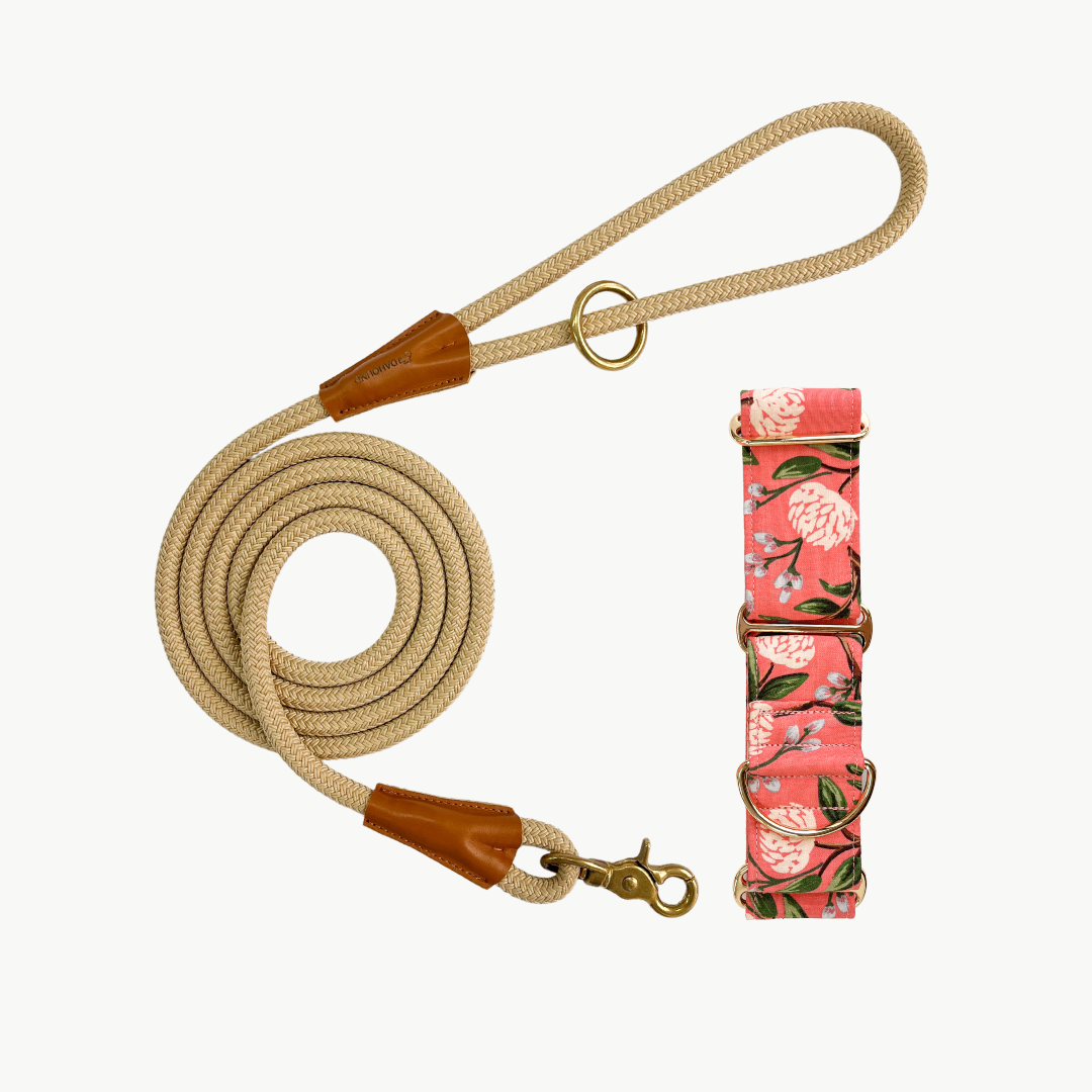Martingale Collar & Rope Lead Set | Coral Peonies (with beige leash)