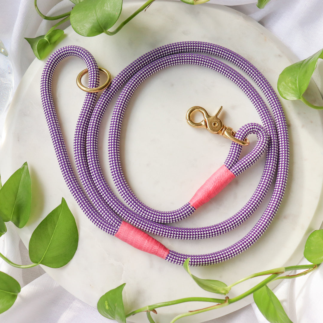 Purple Premium Rope Dog Leash 