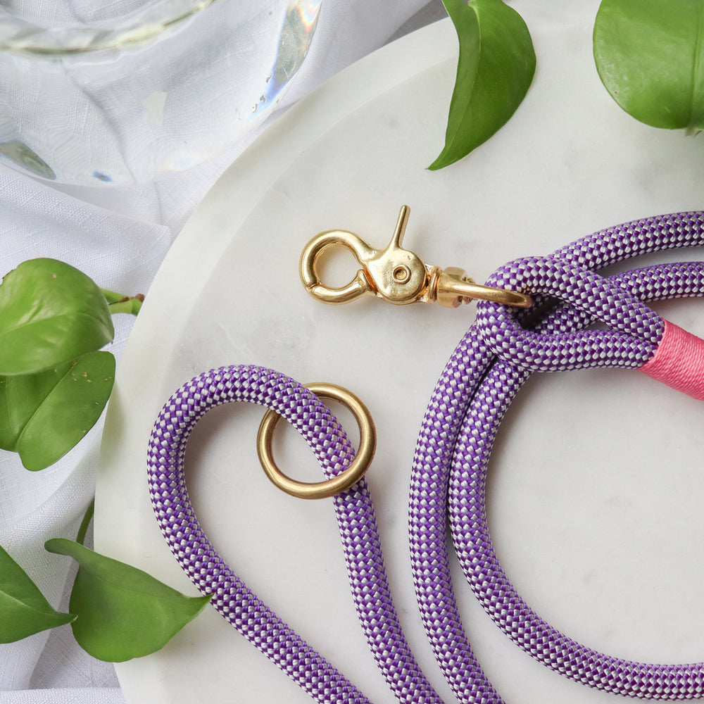 Purple Premium Rope Dog Leash With Brass Hardware