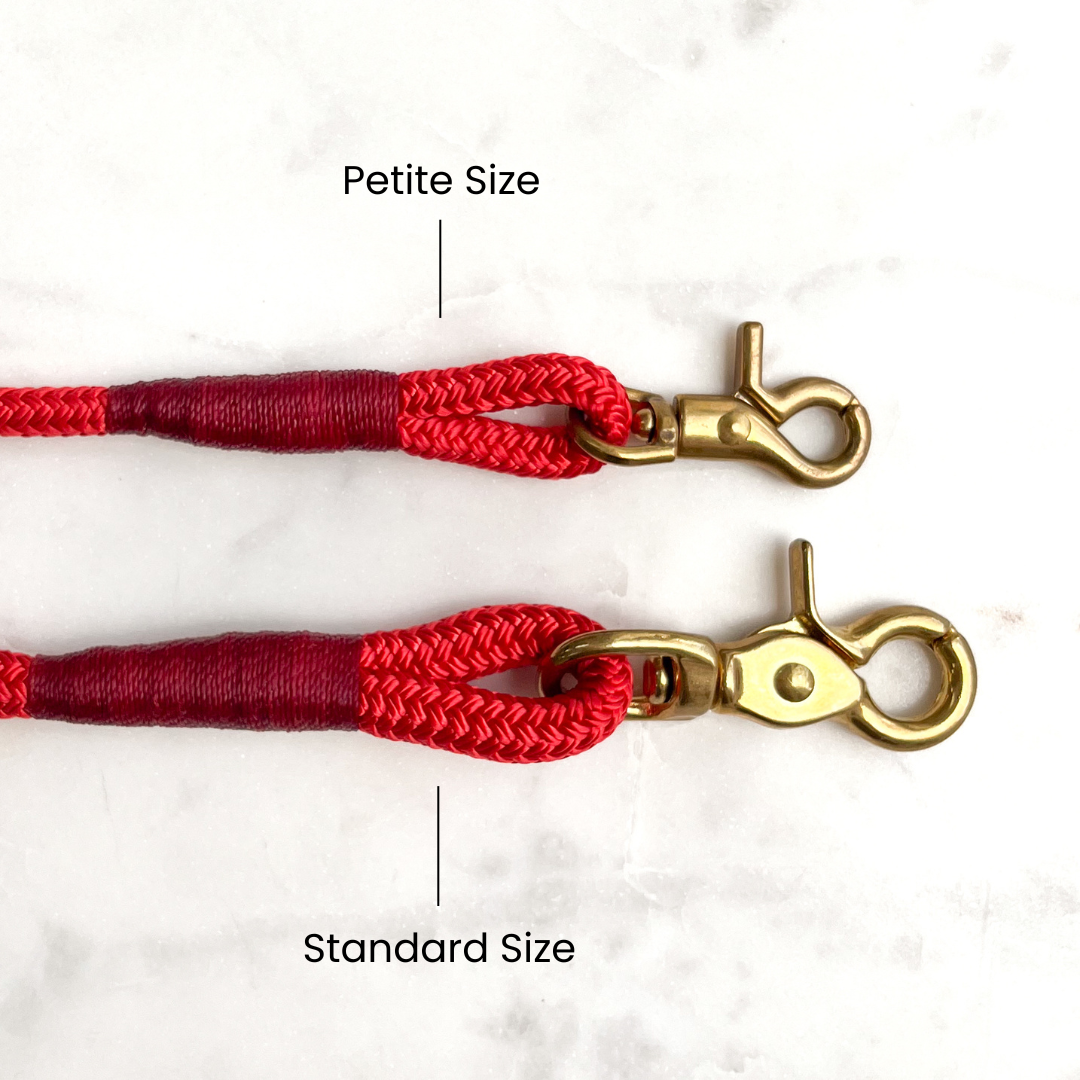 Premium Rope Dog Leash with Brass Fitting | Solid Red
