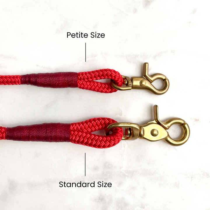 Premium Rope Dog Leash with Brass Fitting | Solid Red