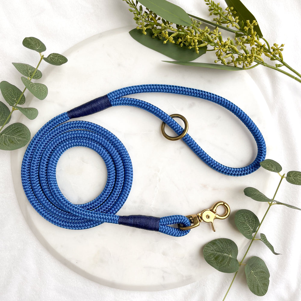 Royal Blue Premium Rope Dog Leash With Brass Hardware