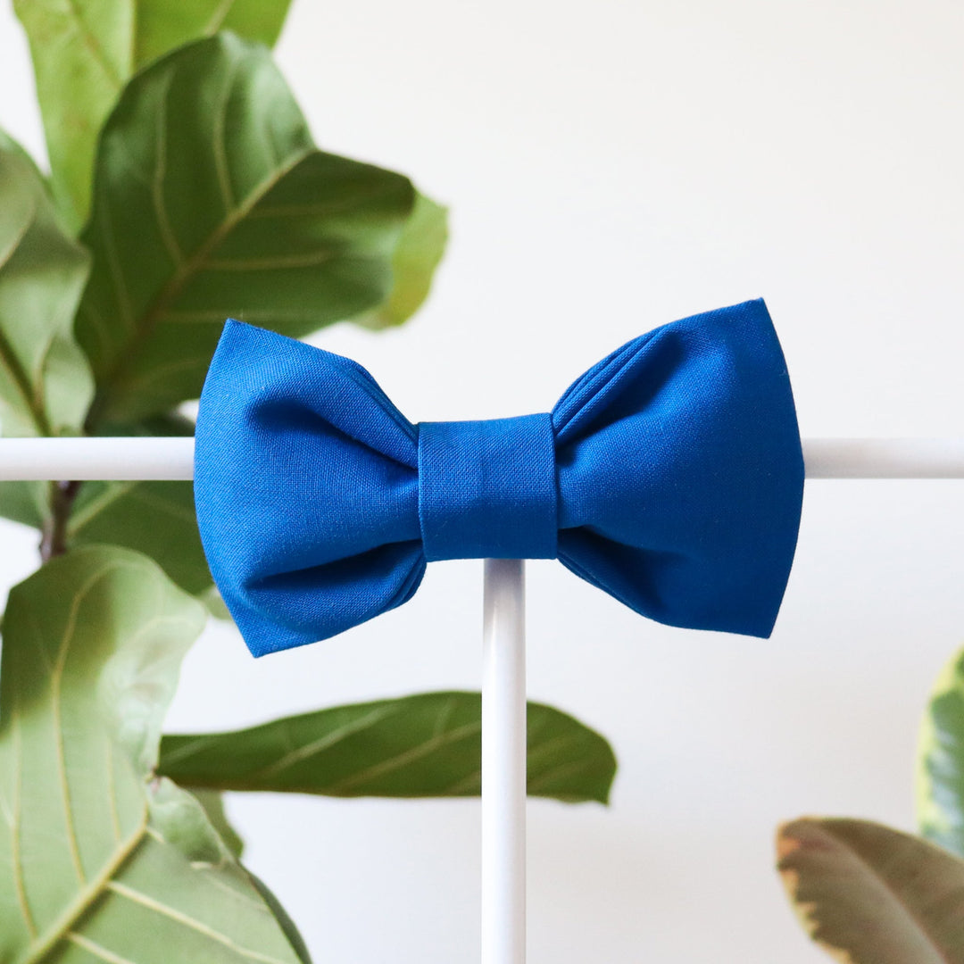 Oversized Dog Bow for Martingale Collars | Royal Blue