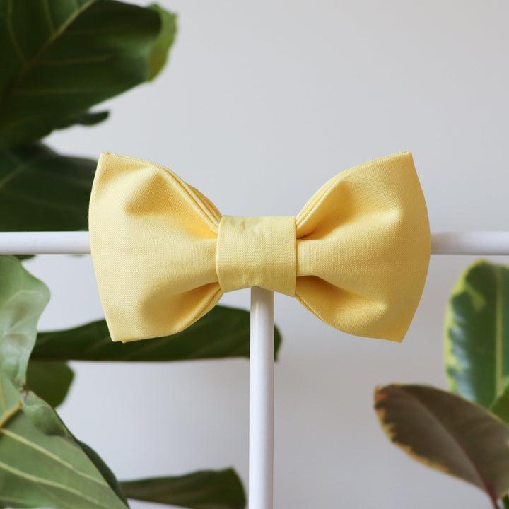 Oversized Dog Bow for Martingale Collars | Chamomile Yellow