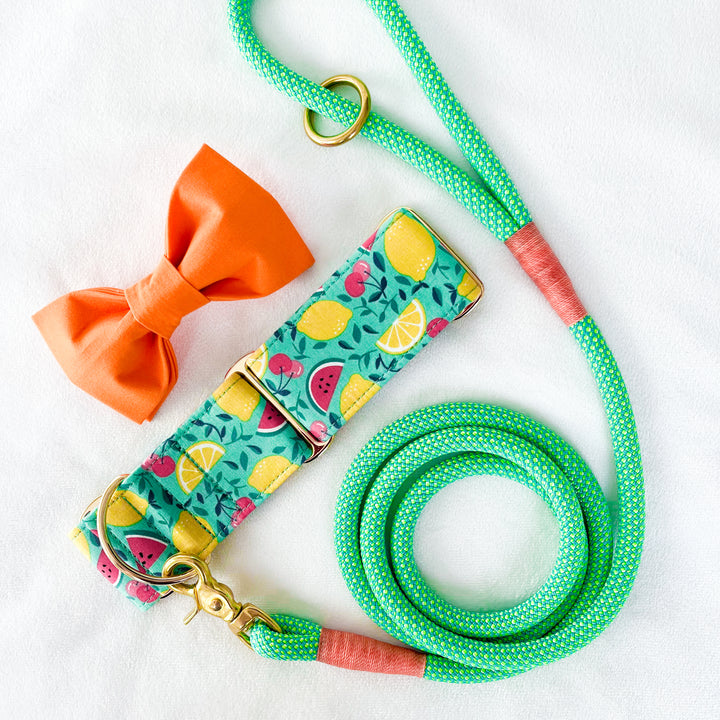 Martingale Collar